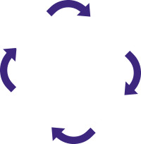 ciclo de vida de la garrapata