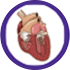 Insufficiency cardiac